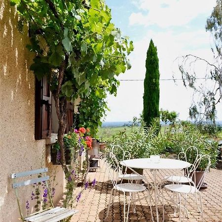 Domaine Des Marrans Bed and Breakfast Fleurie Eksteriør billede
