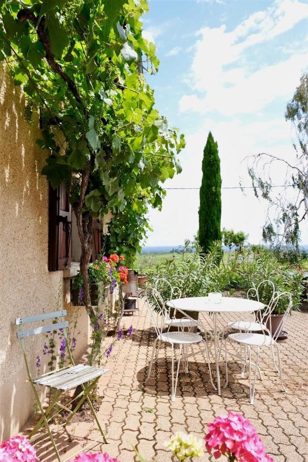 Domaine Des Marrans Bed and Breakfast Fleurie Eksteriør billede