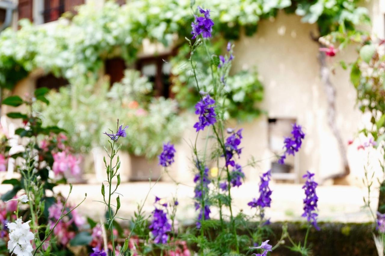 Domaine Des Marrans Bed and Breakfast Fleurie Eksteriør billede